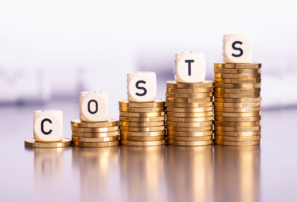 What does custom software development cost?